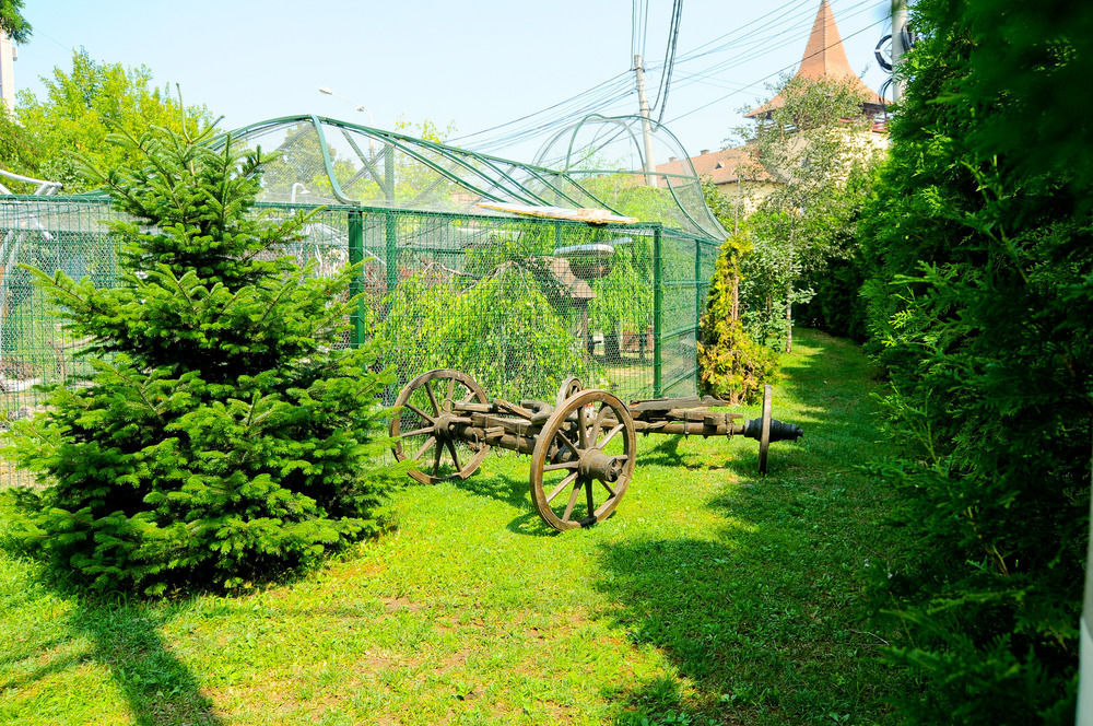 Pension La Cupola Targu Mures Luaran gambar